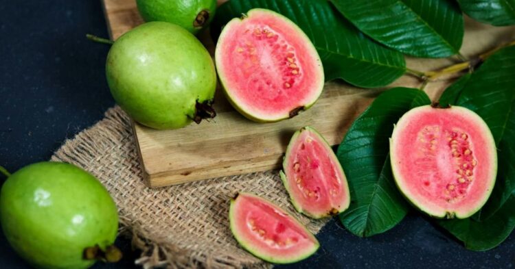 Keep These 10 Seeds If You Want To Have Fruit Trees