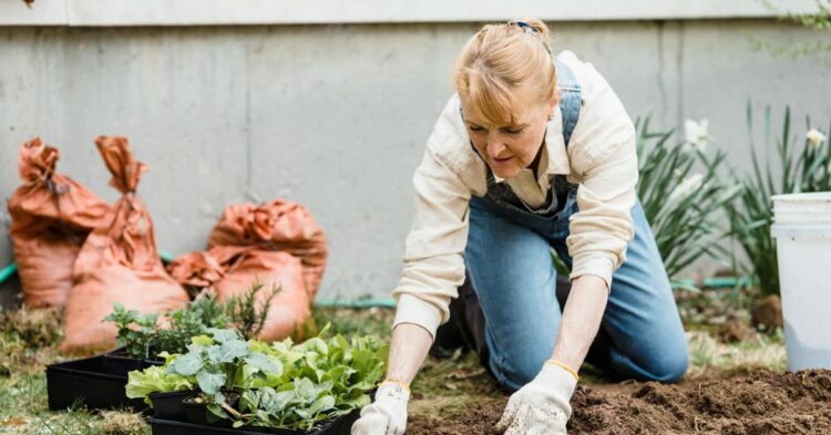 10 Common Gardening Habits That May Be Putting Your Health At Risk