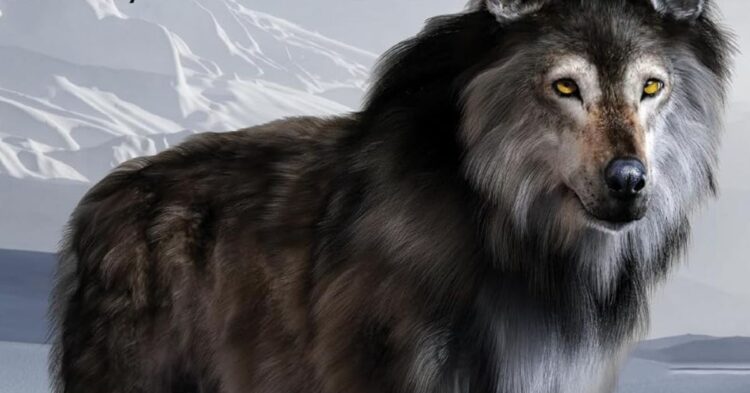 10 Unique Traits That Set Dire Wolves Apart From Modern Canines