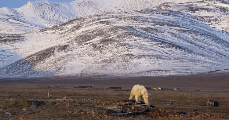 10 Ancient Migration Routes Uncovered By Melting Permafrost