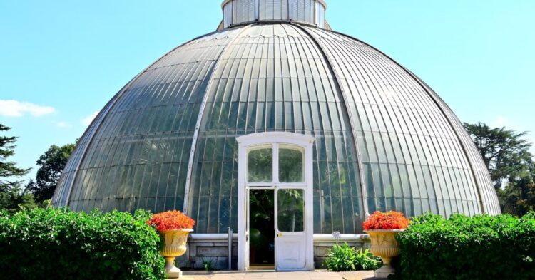 Thinking About a Greenhouse? Here’s What You Should Know First