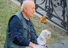 man, elderly, nature, old man, sad, pet, dog, animal, canine, outdoors, sitting, bench, park, relaxation, lifestyle