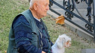 man, elderly, nature, old man, sad, pet, dog, animal, canine, outdoors, sitting, bench, park, relaxation, lifestyle