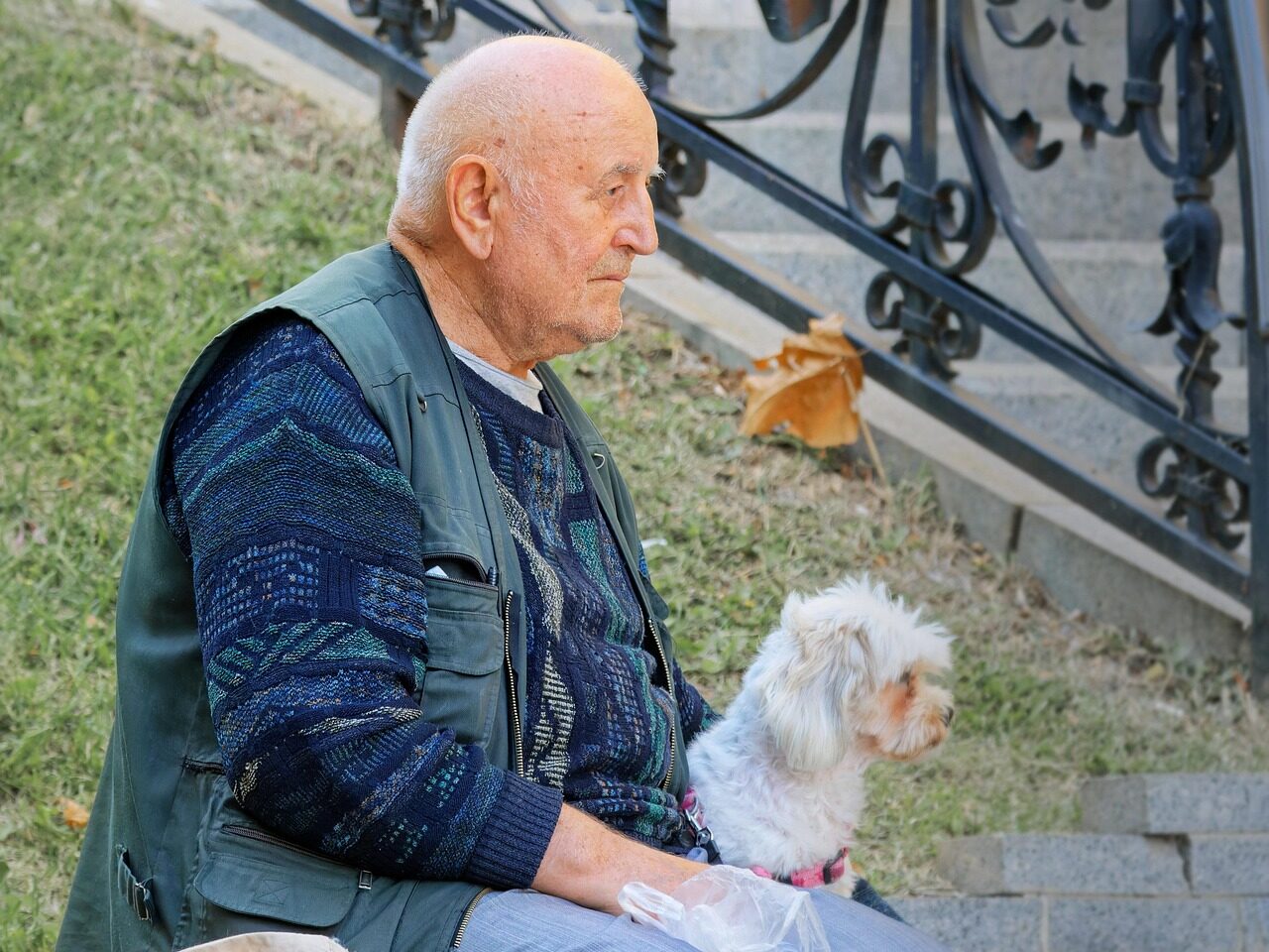 man, elderly, nature, old man, sad, pet, dog, animal, canine, outdoors, sitting, bench, park, relaxation, lifestyle