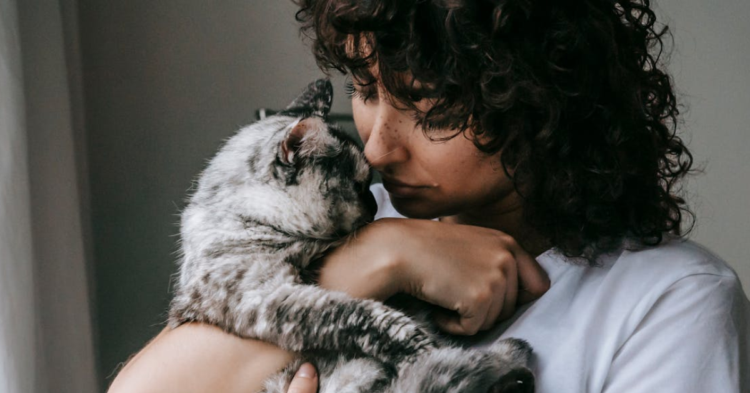 20 Common Mistakes New Cat Owners Make Without Realizing It