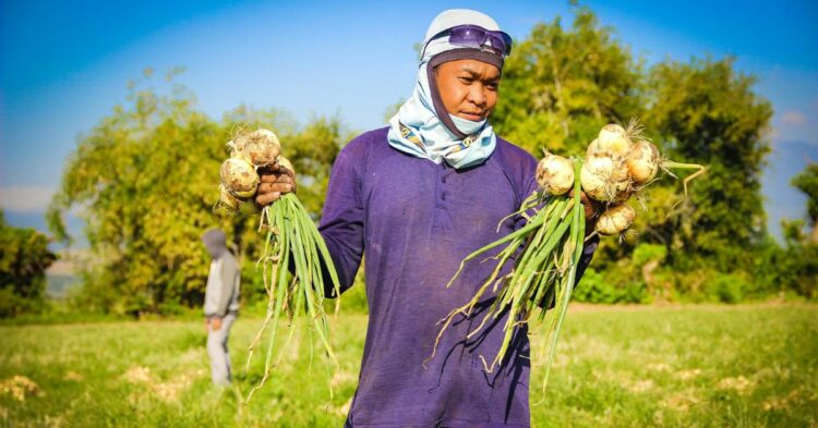 10 Hard-To-Grow Veggies That Challenge Home Gardeners