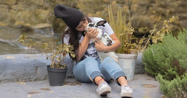 10 Facts That Shape Bunny Lifespans