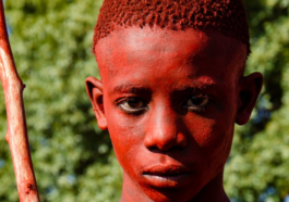 Steward Masweneng/Pexels