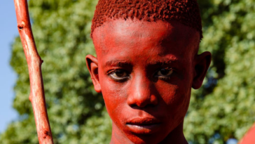 Steward Masweneng/Pexels