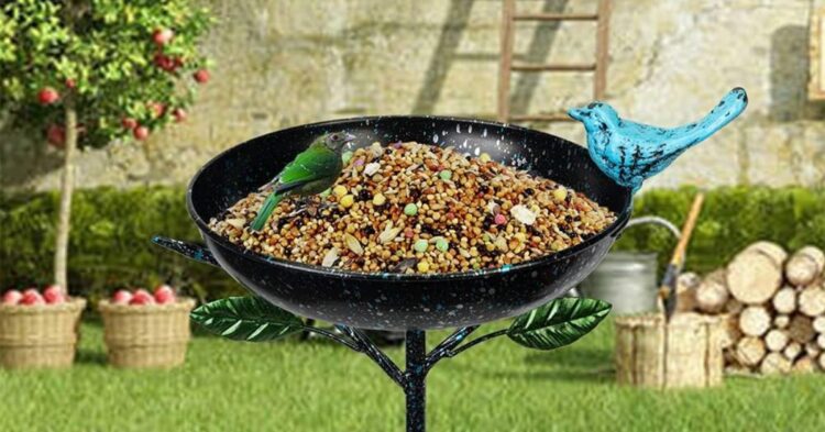 10 Top-Rated Bird Baths Perfect For Every Season And Species