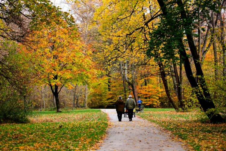 a couple of people walking down a leaf covered path