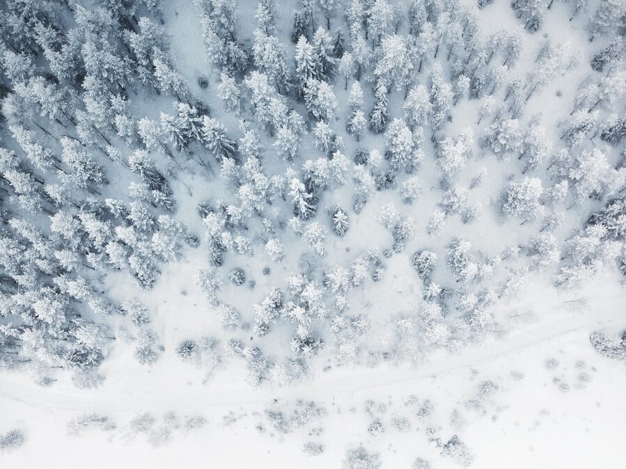 aerial photo of snow covered tree lot