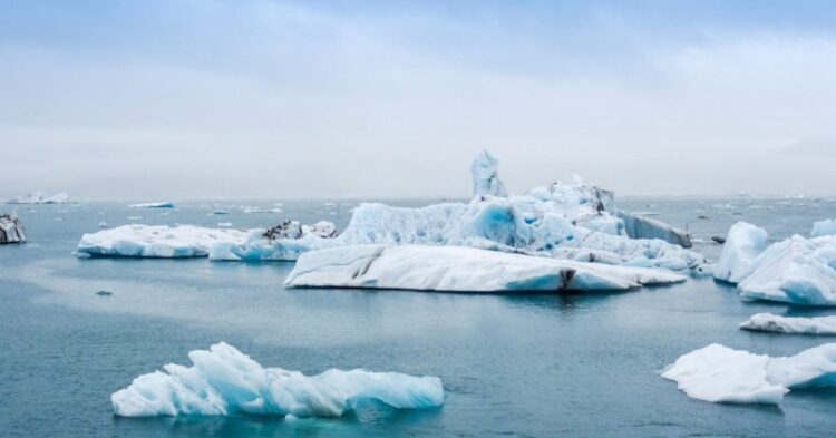 10 Ways A Warmer Planet Is Changing Things For The Better