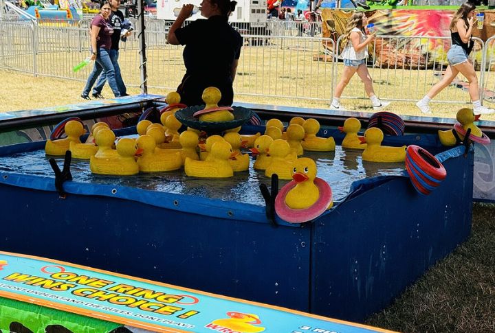 The Duck Pond Game