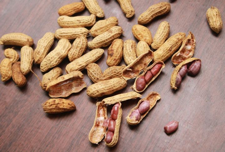 Peanuts Are Not Actually Nuts