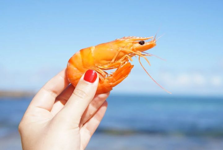 A Shrimp’s Heart Is In Its Head