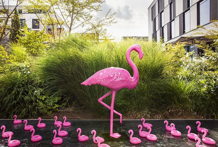 There Are More Fake Flamingos In The World Than Real Ones