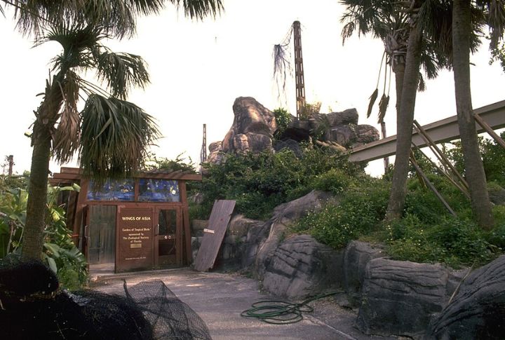 Hurricane Andrew (1992)