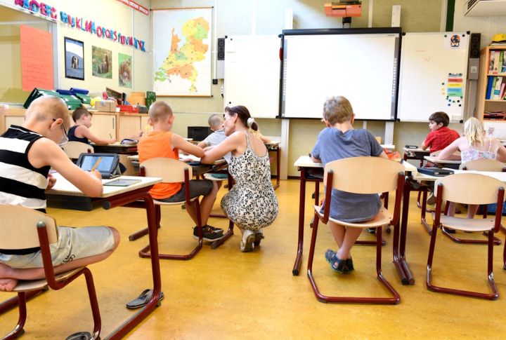 Slowed Curriculum Reform
