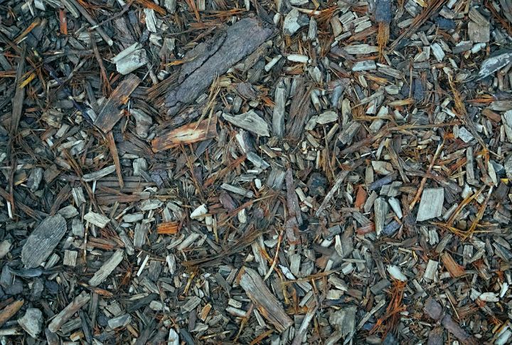 Mulch Smartly Around Native Plants
