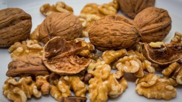 walnut, nut, walnuts, nuts, walnut, walnut, walnut, walnut, walnuts, walnuts, walnuts, walnuts, walnuts