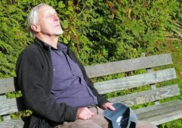 resting, old, man, human, bench, person, park