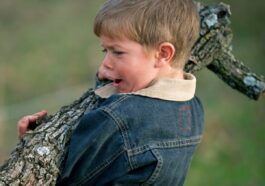 boy in blue denim jacket carrying dead tree branch