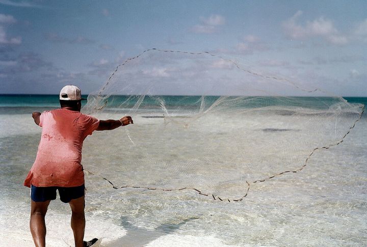 Bikini Atoll’s Ecological Crisis
