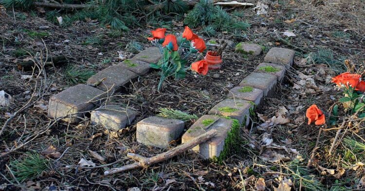 10 Problems You May Face After Burying A Pet In Your Backyard