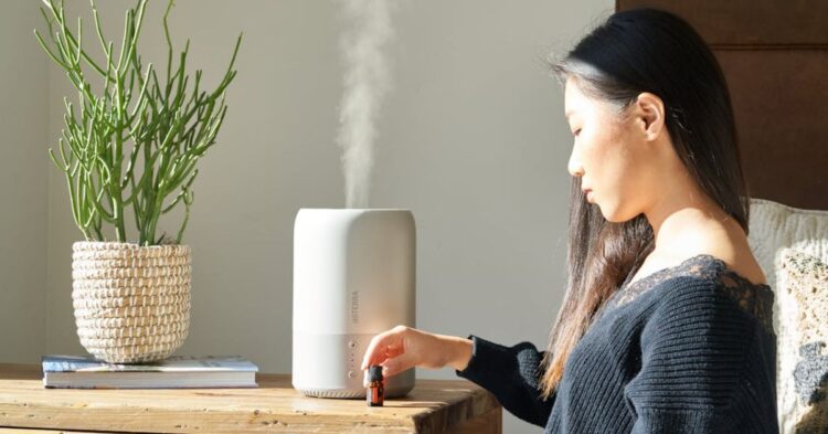 10 Secrets To Keep Your Home Smelling Great Plus 10 Upgrades That Go Further