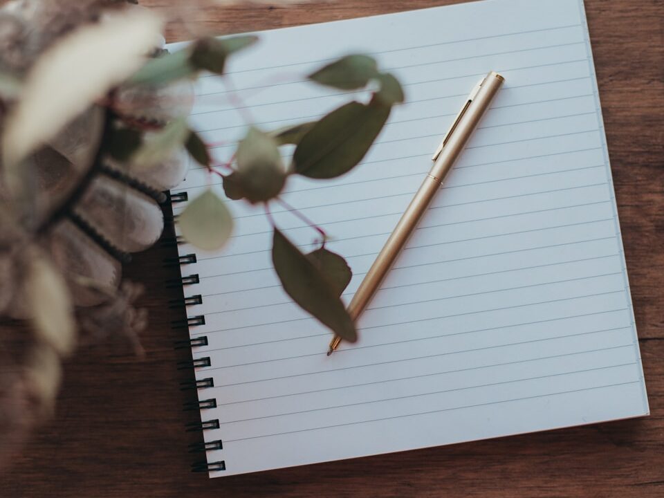a pencil and a paper