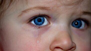 children's eyes, eyes, blue eyes, emotion, feelings, expression, small child, sadness, cry, sad, eyelashes, eyebrows, cry, cry, cry, cry, cry
