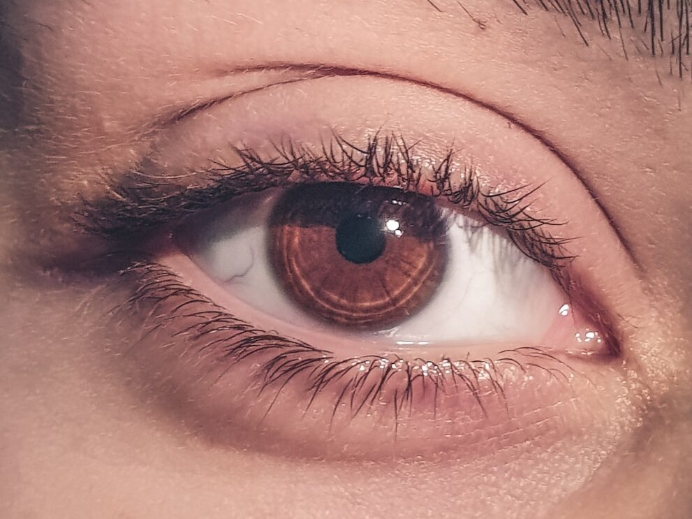 human eye