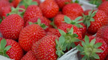 strawberries, berry, fruit, close up, meal, cute, yummy, red, vitamins
