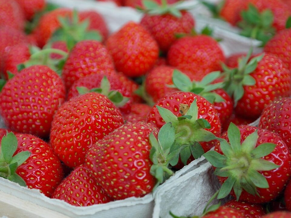 strawberries, berry, fruit, close up, meal, cute, yummy, red, vitamins