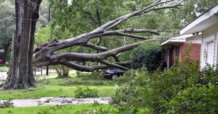 10 Catastrophes That Prove Ignoring Warnings Is Never Harmless