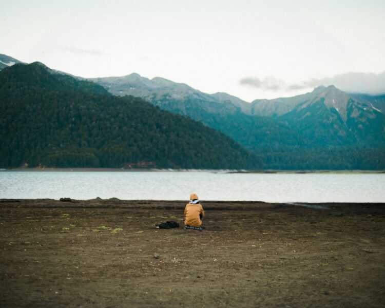 2 person sitting on brown grass field near body of water during daytime