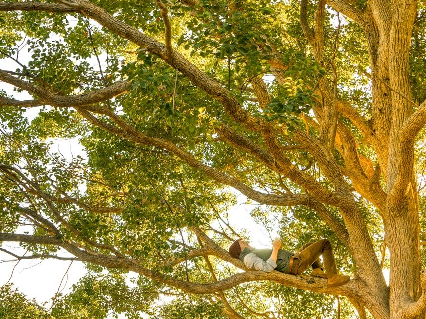 man laying on tree branch