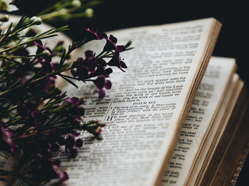 purple flowers on bookpage