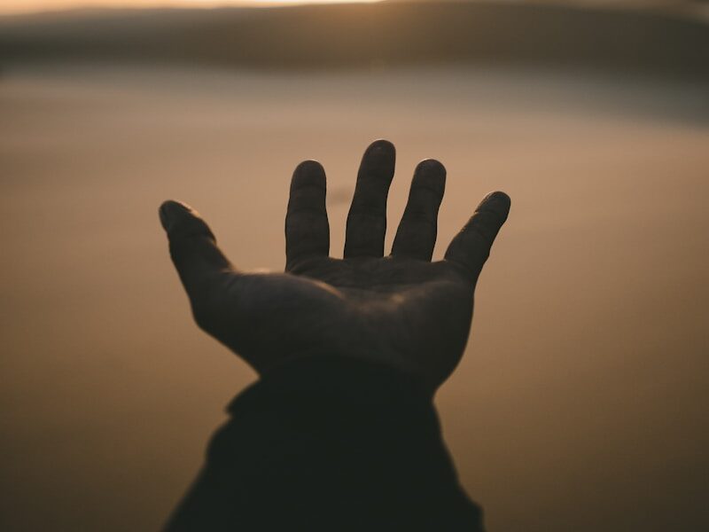 person's hand