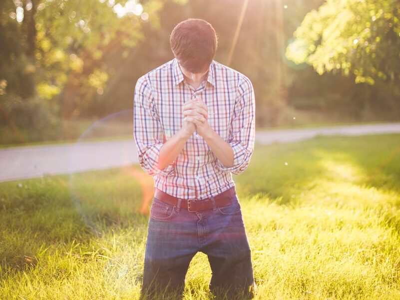 photo of man kneeling on grass near tree