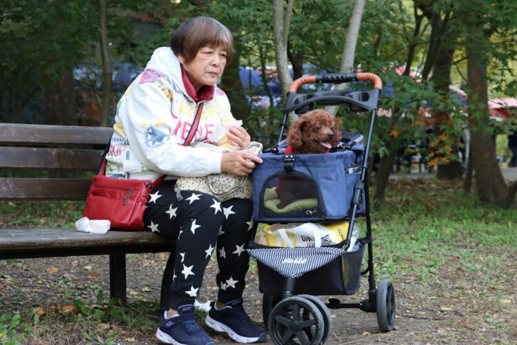 a woman sitting on a bench with a dog in a stroller