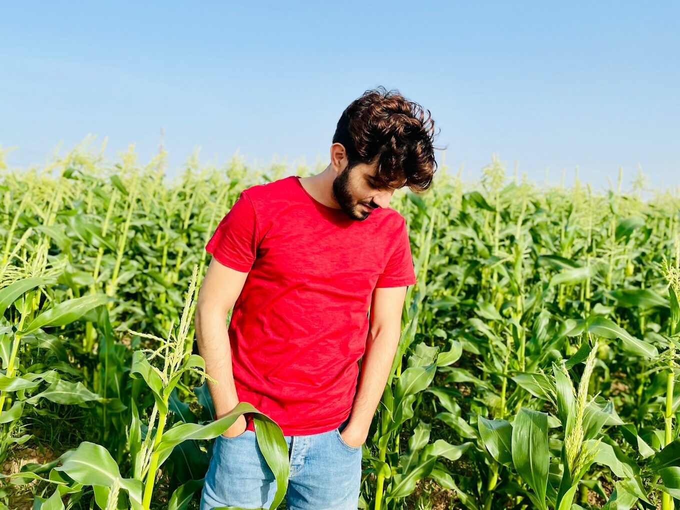 man in red crew neck t-shirt standing on green grass field during daytime