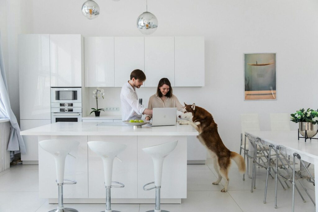 A couple with a dog enjoys time together in a modern white kitchen.