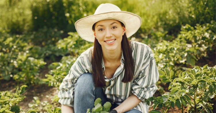 10 Smart And Easy Ways To Make Your Vegetable Garden Thrive