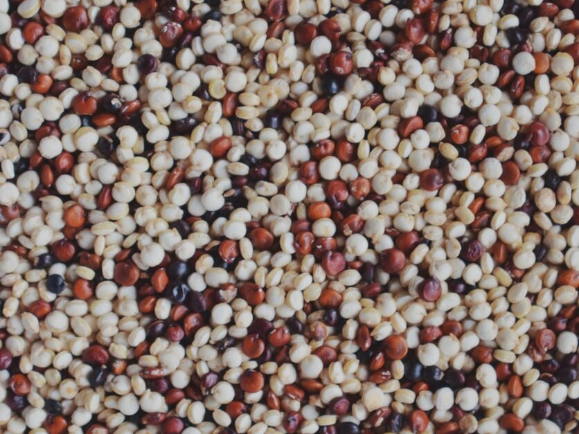 A close up of a bunch of food