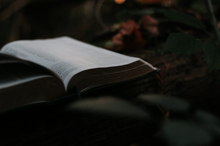opened book
