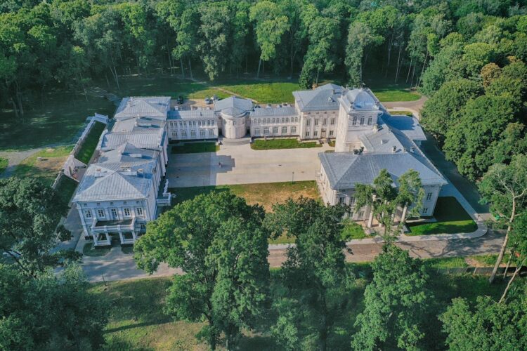 aerial view of green trees and white building during daytime
