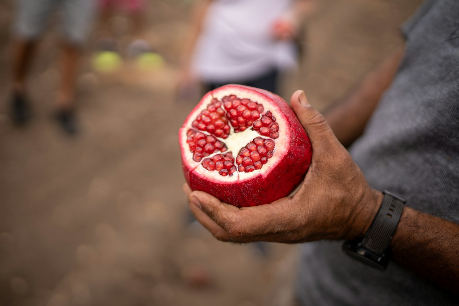 a close up of a person holding a pomegranate