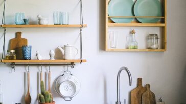 Cozy kitchen featuring rustic open shelving, green plants, and elegant dishware.